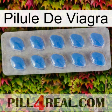 Viagra Pill 22